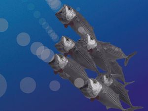 Gala koncert klapa pobjednica 55. omiškog Festivala ovu subotu u Hrvatskom domu u Splitu