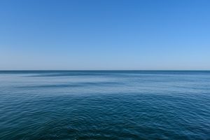 Uzorci morske vode iz oceana, riznica su podataka o RNA virusima