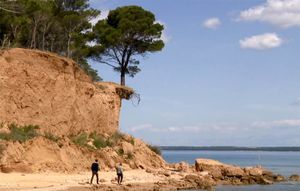 Bor s Vrgade je svjetski fenomen – Prkosi svim zakonima fizike!