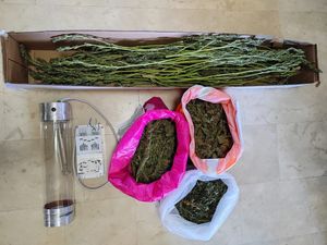 Policija u Solinu zaplijenila više od 2 kg marihuane, fino zapakirane