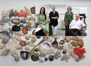 Znanstvenici s Ruđera otkrili mikroplastiku unutar skeleta školjki i koralja