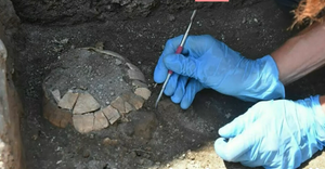 Arheolozi u Pompejima pronašli kornjaču staru gotovo 2000 godina