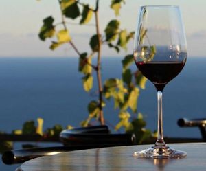 Počinje Festival peljeških okusa