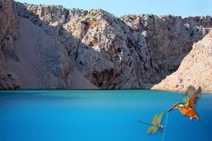 Najavljena akcija čišćenja  podmorja i obale  Novigradskog mora te rijeke Zrmanje