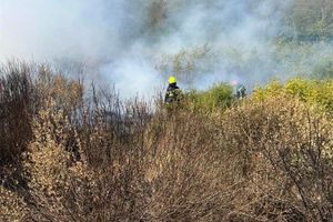 Požar u Istri pod kontrolom gasitelja – Na intervenciji sudjeluje ukupno 81 vatrogasac s 28 vatrogasnih vozila