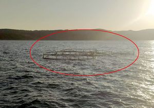 Plovput uklonio kavez za uzgoj ribe s plovnog puta