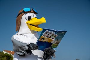 Jeste li upoznali galeba Marka?