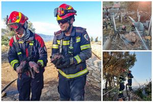 OSTALO SAMO ZGARIŠTE Na Braču izgorjela životinjska farma