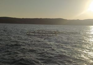 NEVJEROJATNO U Splitskim vratima plutao – kavez! Trajekt ga izbjegao za dlaku