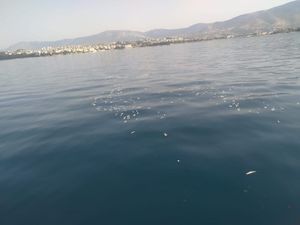 Kod poznatog splitskog hotela uočili zabrinjavajući prizor