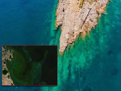 ŠOKANTNO ISTRAŽIVANJE: Turistička bomba gura milijune litara fekalija u Jadran, a sustav ih uopće ne vidi! Zašto sateliti u sezoni lakše uoče ilegalni brod nego ekocid u našim plićacima?