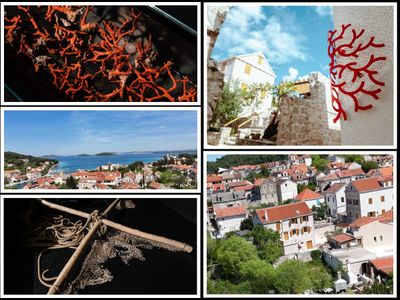 OTOK KORALJA KOJI KORALJE - NEMA! Nevjerojatna priča o skrivenom dragulju šibenskog arhipelaga