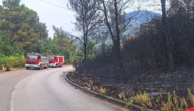 NADLJUDSKA BORBA NA KORČULI Stiglo pojačanje s kopna, objavljene snimke strašnih posljedica požara - Općina Blato uputila apel otočanima!