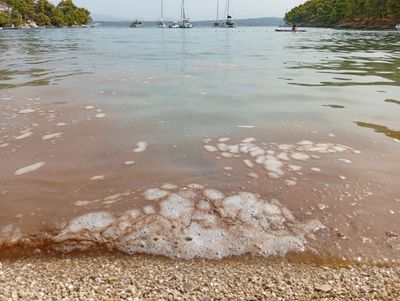 INCIDENT NA ŠOLTI Jutarnje fekalno onečišćenje preplavilo uvalu Gornja Krušica, mještani upozoravaju na problem sidrenja plovila