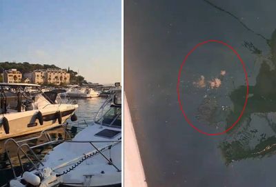 Makarska riva ponovno pod opsadom govana: "Ovo je odvratno, ispuštaju ih svaku večer u isto vrijeme!"
