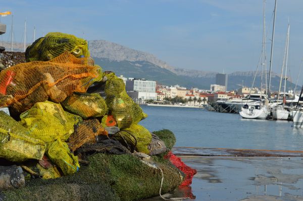 Završetak kupališne sezone Splićani će u subotu obilježiti čišćenjem poznatih plaža uz humanitarnu notu!