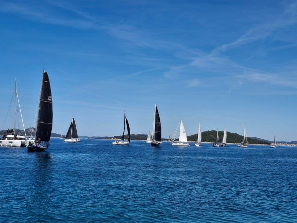 Startala Zlarinska regata krstaša