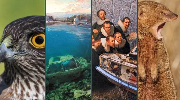 IZLOŽBA KOJA OSTAVLJA BEZ DAHA: Kontrasti netaknute prirode i ljudskog nemara u objektivu Ibriševića i Marukića