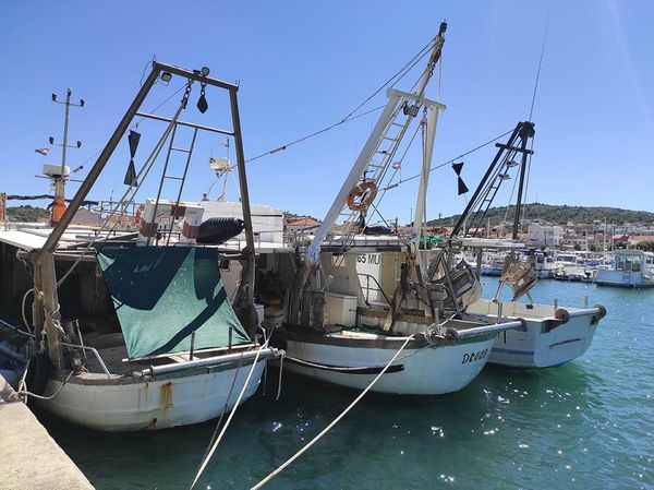 „Bolje je vezati brod nego stvarati gubitke“ - Dramatičan apel ribara nakon novog poskupljenja goriva!