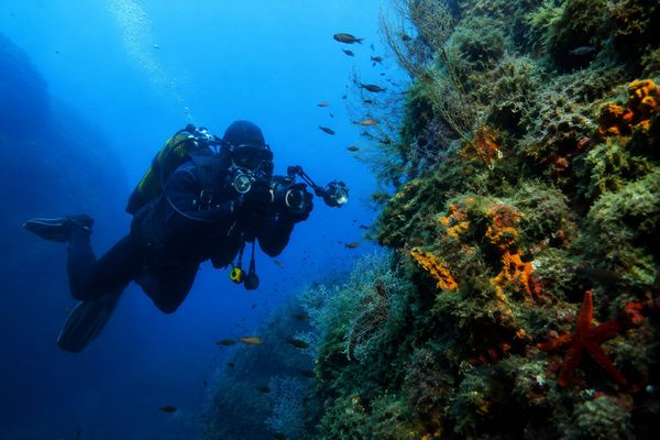 Čudesno podmorje Visa pod reflektorima: Najbolji svjetski fotografi zaronit će u prvu strogo zaštićenu zonu na Jadranu