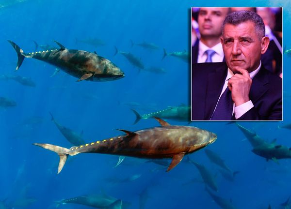 Europska ribarska politika u kolapsu, a Ante Gotovina u Bruxellesu govori o spasu hrvatskog ribarstva
