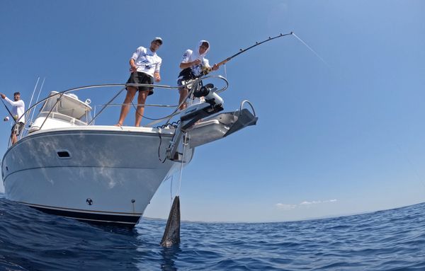 ROGOZNIČKI AKVATORIJ PREPUN TUNE Drugi ribolovni dan trećeg izdanja međunarodnog „Adriatic offshore tune championship Rogoznica 2026.”
