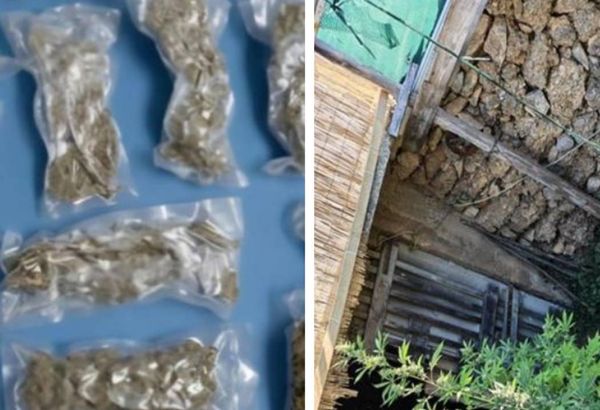 Policijska akcija na Hvaru: "Na području Jelse i Dola zaplijenjena je veća količina droge, oružja i eksplozivnih sredstava"