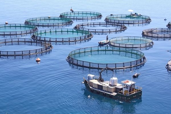AquaFarm 2027: Deseto izdanje vodećeg sajma akvakulture u Pordenoneu u znaku održivosti, tehnologije i klimatskih izazova