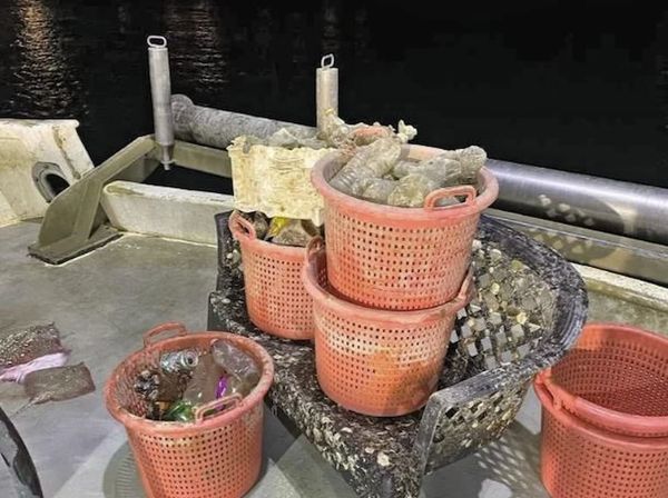 MISLITE DA JE PLASTIKA NA PLAŽI NAJVEĆI PROBLEM? Istina o onome što se krije pod površinom Jadrana je zastrašujuća!