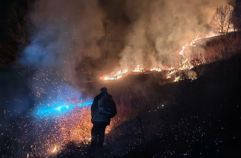 Bizarna obrana od vukova: Zapalio vatru pa ostao bez kontrole i izazvao požar, policija ga prijavila!