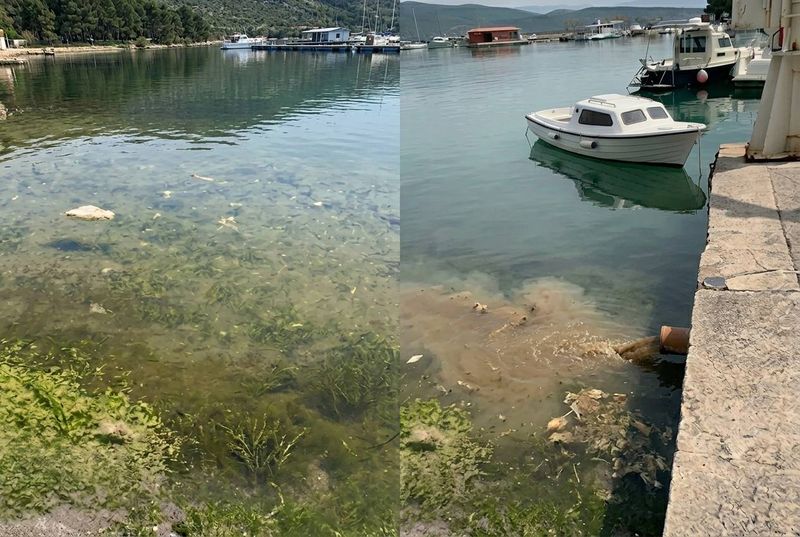 JADRAN NAM JE SVE PRLJAVIJI Hrvatska s trećeg, pala na peto mjesto po čistoći mora!