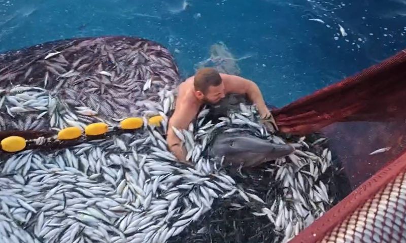KAKVA AKCIJA Veloluški ribar skočio u more kako bi spasio zarobljenog dupina!
