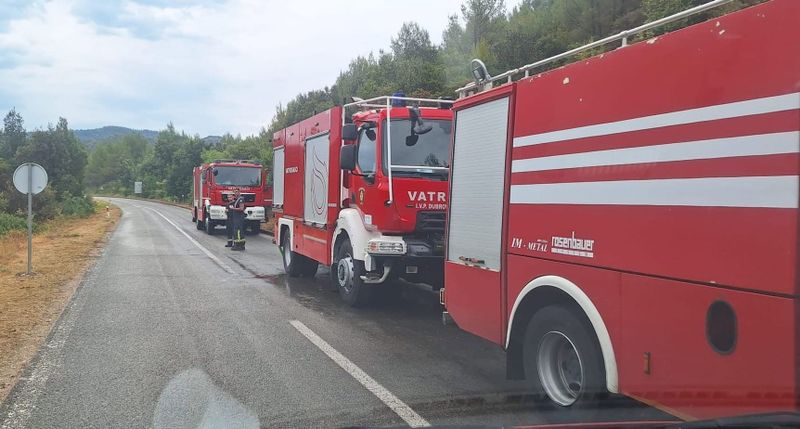 POJAČAN PROMET PREMA MORU: Kolone na prilazima Lučkom, na A1 uočena srna, a zbog požara i dalje oprez na cestama Korčule