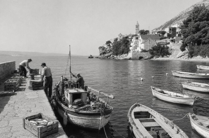 HOMAGE VELIKANU: Boris Dežulović priredio „Libret o našem Malom portu” – zaboravljeni tekstovi Miljenka Smoje ugledali svjetlo dana