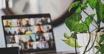 Computer monitor with unfocused people on the screen. Plant in the foreground. 