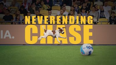 Ball Behaviour Commerce
