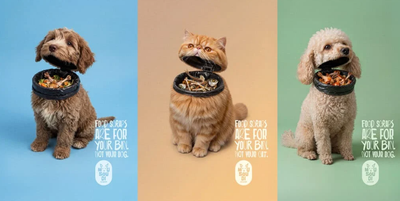 Mousoudi Pet Shop turns the pet victims into trash bins