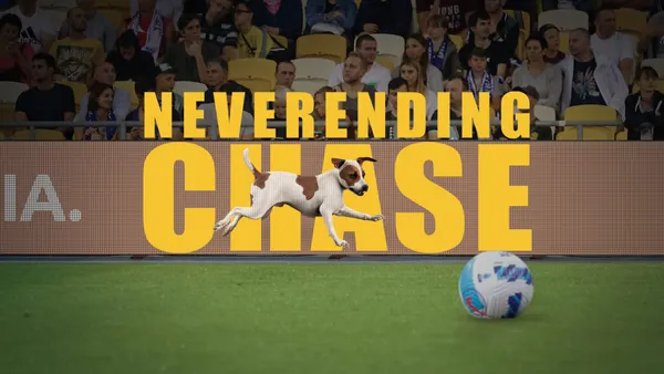 Ball Behaviour Commerce
