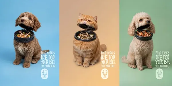 Mousoudi Pet Shop turns the pet victims into trash bins