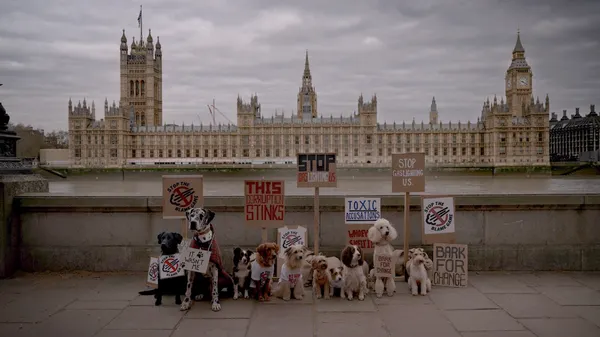 Rennie gives wrongly accused dogs the right of reply