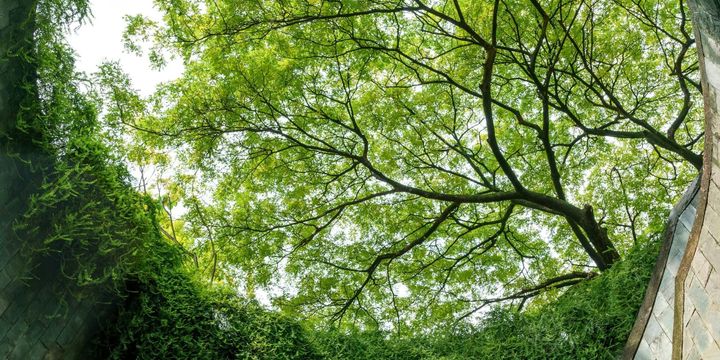 Circular economy business environment reform
