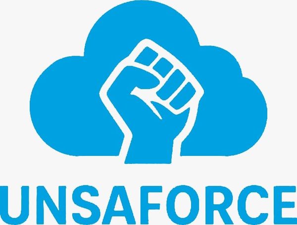 Section Syndicale UNSAforce