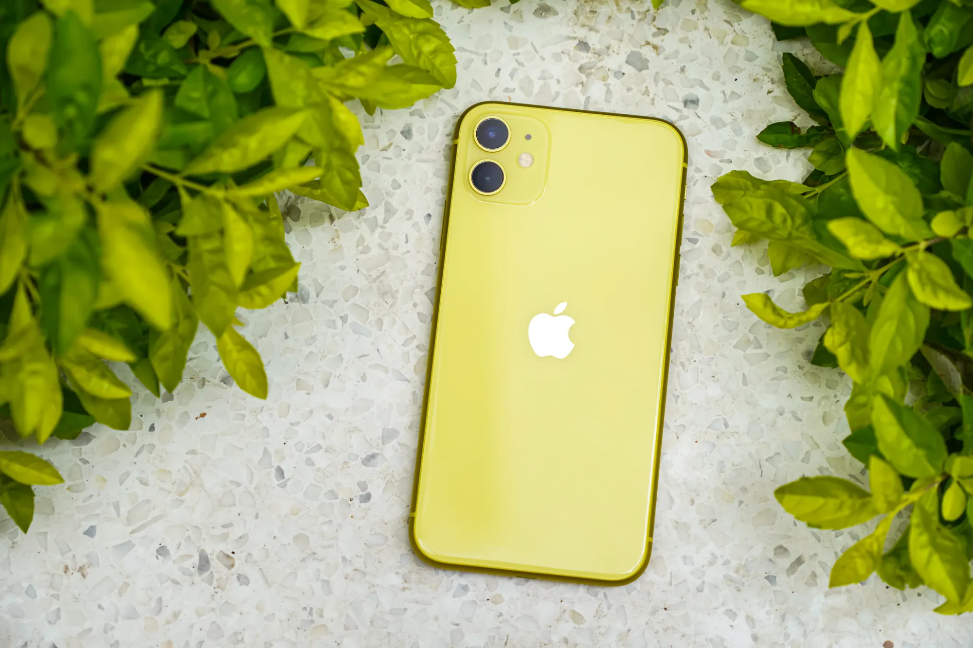 Encontrei um iPhone perdido. O que devo fazer?