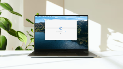 1Password, 1 vida, 1 sossego