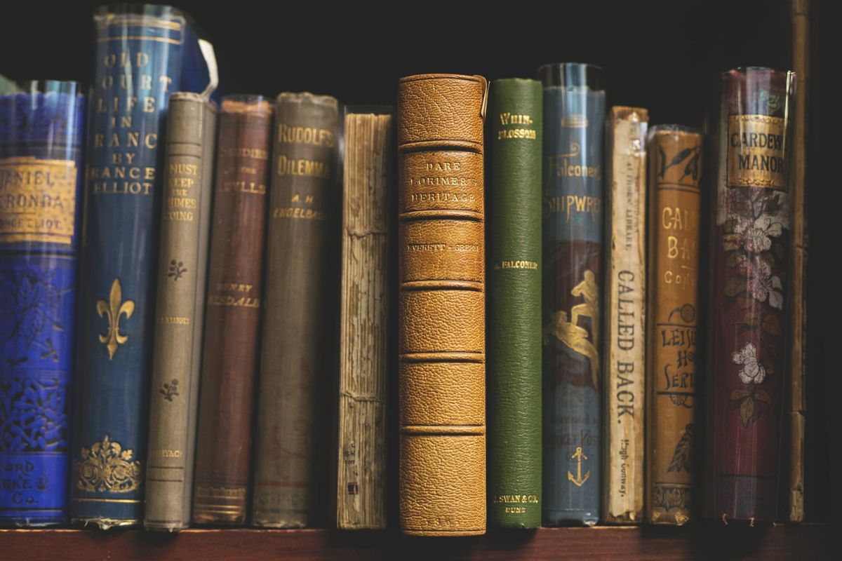 A Guide to Fiction: Genres, Arcs, and Protagonists, Oh My!