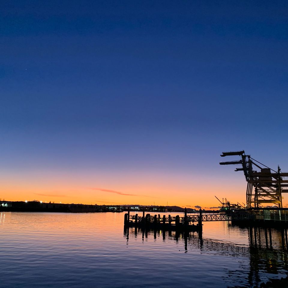 About this Newsletter