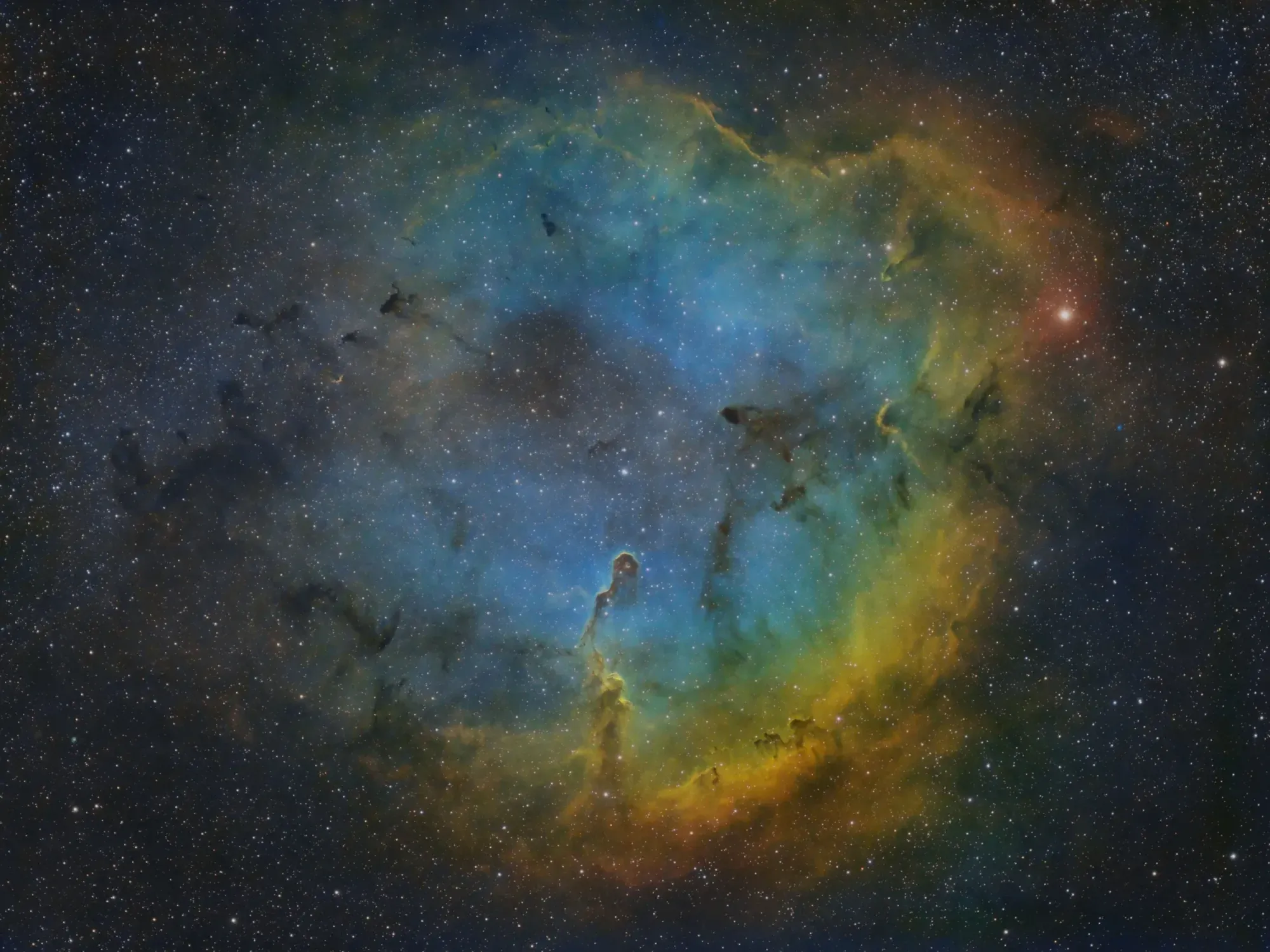 IC 1396 - Elephant Trunk Nebula