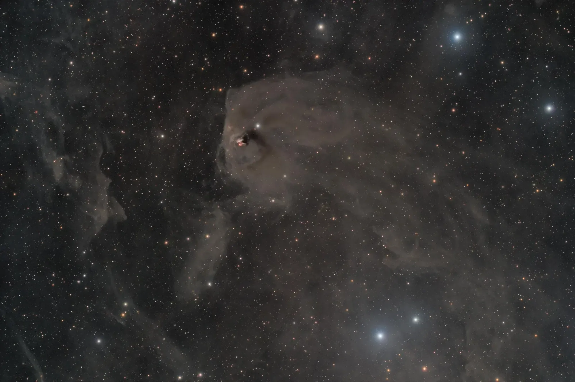 Hind's Variable Nebula: NGC 1555