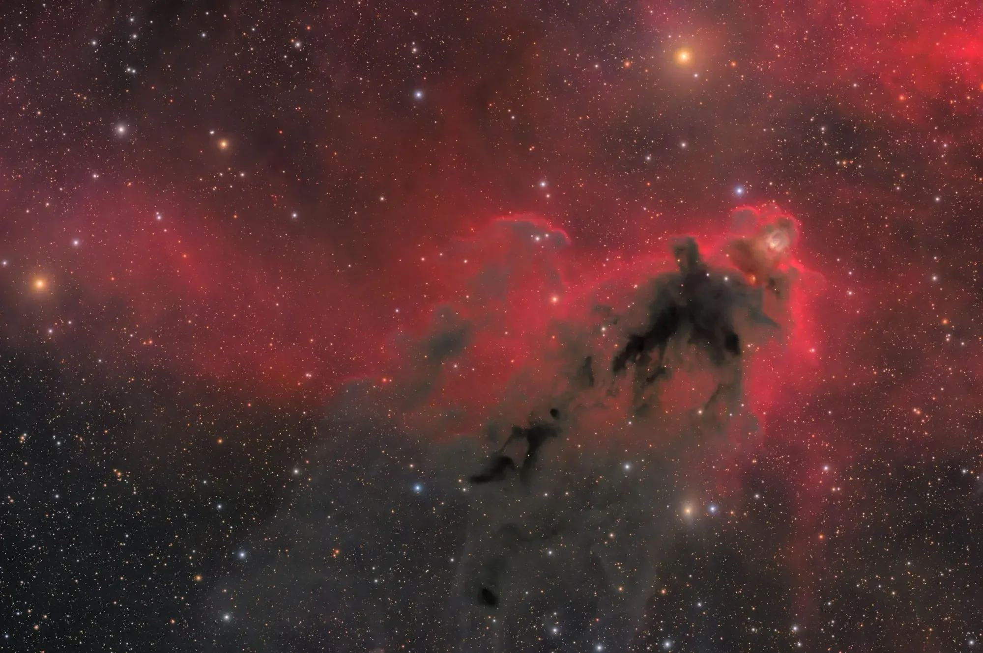 The Boogeyman: LDN 1622