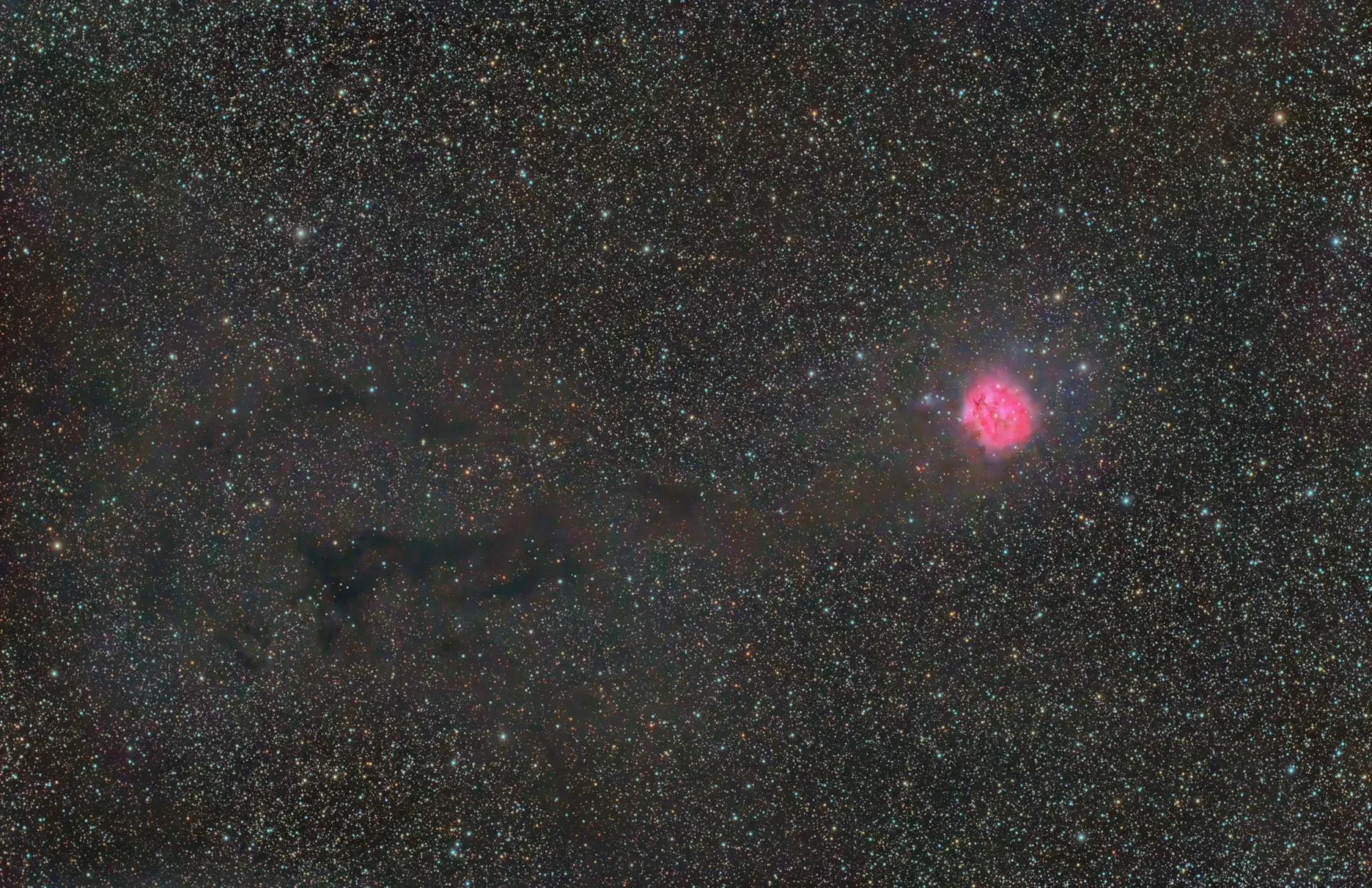 IC5146: Cocoon wide field 